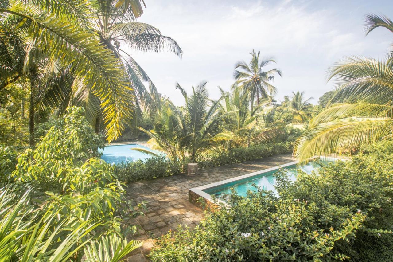 אהנגאמה The Coastal Village Cabanas מראה חיצוני תמונה